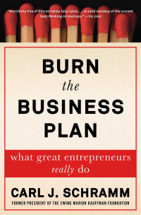 Image of Burn the Business Plan: What Great Entrepreneurs Realy Do