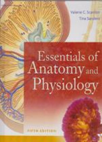 Image of Essentials of anatomy and physiology
