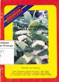 Image of Teknik Budidaya Tembakau Madura